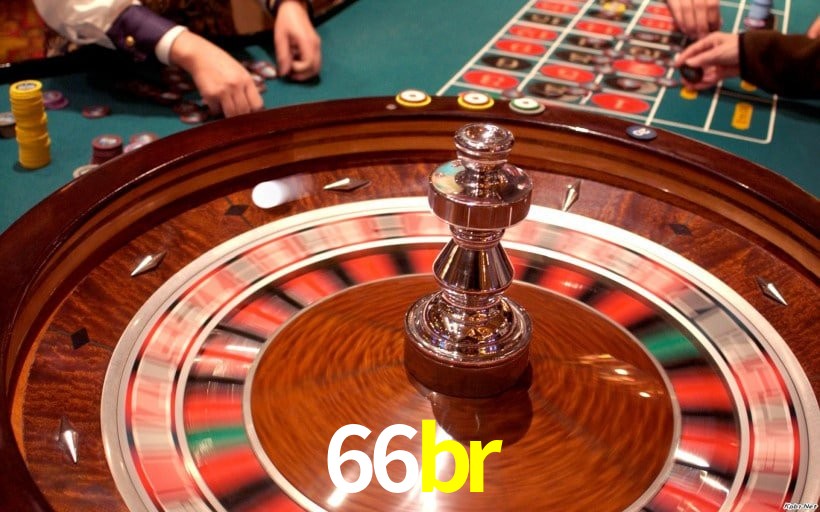 Programa VIP 66br